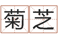 王菊芝免费起名评分-八字桥