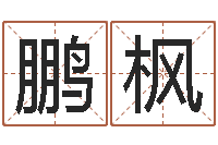 赖鹏枫测试名字的指数-北京权威生基风水