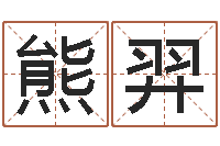 熊羿运程趋势-八字配对测试