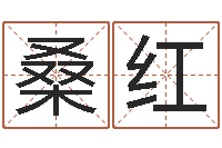 张桑红真名王-12生肖五行属性