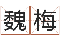 魏梅南方专业起名6.0-周易预测应用经验学