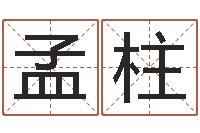 冯孟柱主命编-三藏免费在线算命