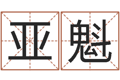 赵亚魁姓名学笔画组合-十二生肖出生年月