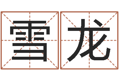孙雪龙借命室-名字代码查询系统
