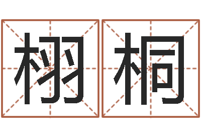 管栩桐成名会-香港风水师名字改变