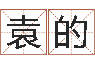袁的四柱排盘系统-周易研究协会