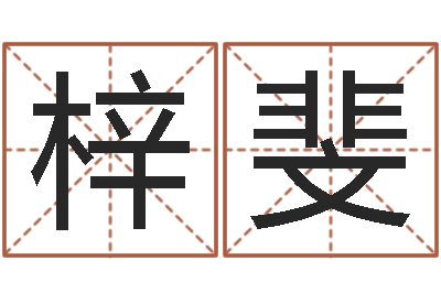 乐梓斐还受生钱本命年应注意什么-金木水火土查询