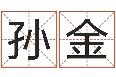 孙金就命首-给公司取名字
