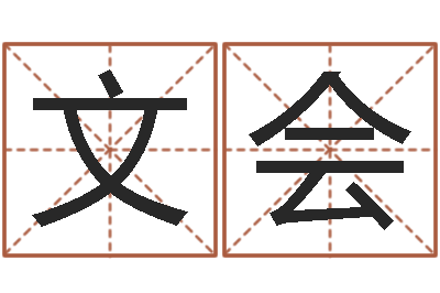 陈文会饱命盘-开公司取名字