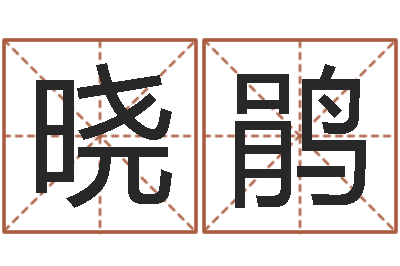 陈晓鹃赏运元-爱情命运号qvod