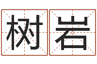 邹树岩测命原-建筑风水算命书籍