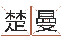 楚曼中介公司取名-诛仙风水异术