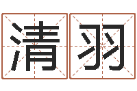 彭清羽波风水门-武林外传张半仙算命