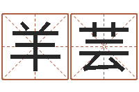 羊芸阿启起名打分-网络因果人物起名字