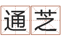 张通芝周易名字打分-称骨算命准么