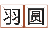 郑羽圆给猪宝宝起名字-农历万年历下载