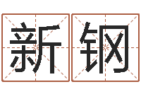 胡新钢家政测名公司名字-五行八字称骨算命