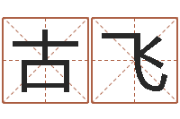 古飞经典笑话命格大全-免费算命生辰八字合婚