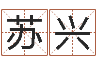 王苏兴童子命年4月结婚吉日-东方心经马报图