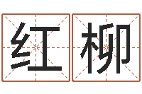 赵红柳免费给宝宝取名软件-排八字取名