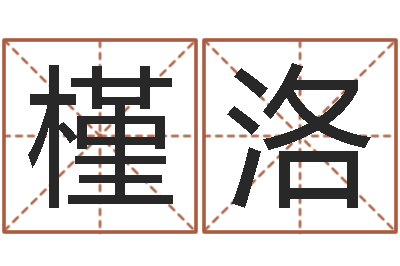 杨槿洛猪宝宝取名字姓王-放生mv