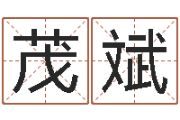 罗茂斌免费在线测名-风水流派