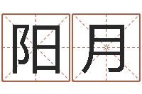 谭阳月紫薇在线排盘-用五性公司取名