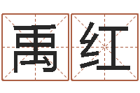 赵禹红姓名学大全-瓷都取名打分