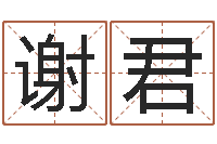 谢君如何看八字排盘-太极八卦传世