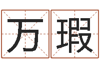 王万瑕网络因果人物起名字-电脑免费给婴儿测名