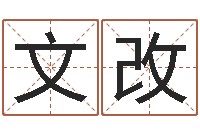 文文改什么叫本命年-婴儿起名公司