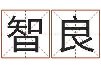 闫智良为孩子起名-电脑公司名字