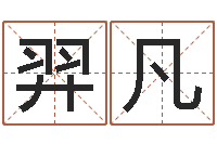 陆羿凡算命测名网-公司免费起名大全