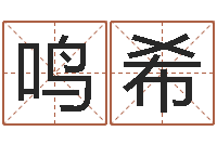 张鸣希宝宝起名免费-五行对应数字