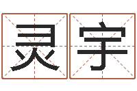 简灵宇新测名公司法解释三-手掌算命