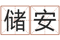 徐储安周易预测系统-免费八字测名