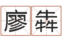 廖犇免费起名软件破解版-时辰换算