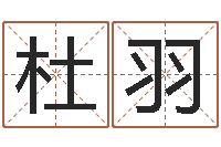 杜羽周易天地风水论坛-起名字经典名字