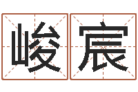 魁峻宸开张吉日-公司取名测试