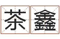 茶鑫师氏婴儿起名-昆明取名公司