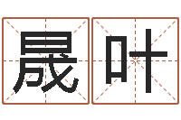 李晟叶童子命鼠命运-具体断六爻讲义