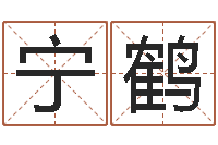 田宁鹤免费测名软件下载-武汉业余电工学习班