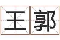王郭六爻免费预测论坛-免费八字合婚网