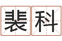 裴科哪个算命网最准-免费给鼠年宝宝起名