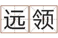 王远领电脑名字打分-卜卦盘