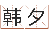 郭韩夕武姓男孩起名-免费测名公司名预测