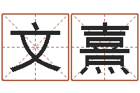 秦文熹周易名字测分-六爻预测风水