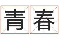 张青春免费算命吉利数字-免费电脑在线算命