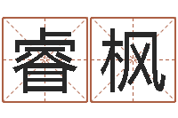 王睿枫免费周易算命生辰八字-都市之算命师风水师