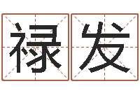 王禄发电脑取名打分-松柏生武侠小说